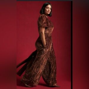 Anthropologie Somerset jumpsuit - burnt velvet edition.